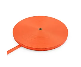 Alle Polyester Meterwaren Polyesterband 25 mm - 1200 kg - 100 m Rolle - 2 Streifen (Farbe wählbar)